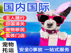 乌兰察布集宁航空货运国际宠物托运 【国